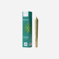 blunt2.jpg