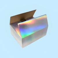 Holographic-Bags.jpeg