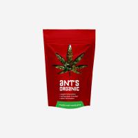 Medical-Marijuana-Packaging4.jpg